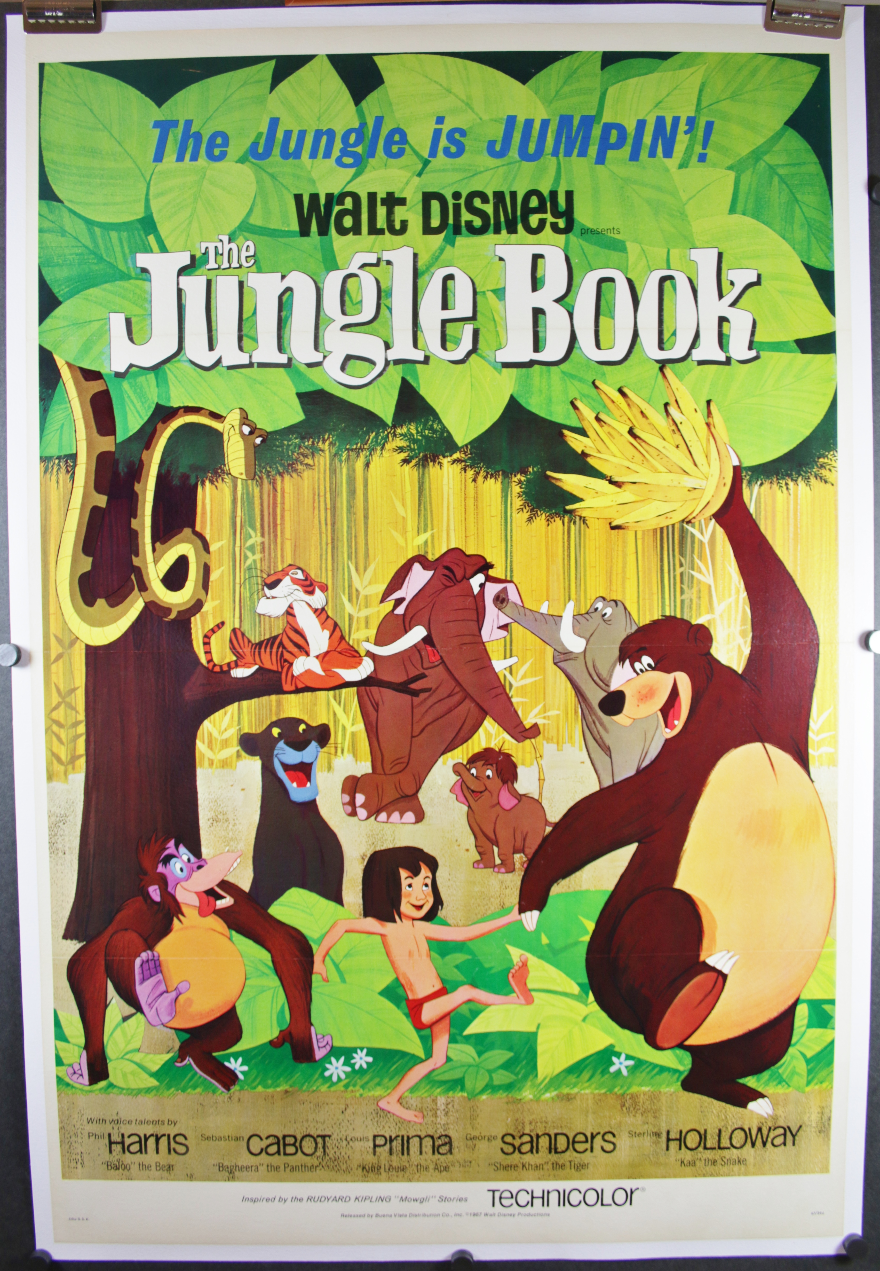 Jungle Book 4436LB