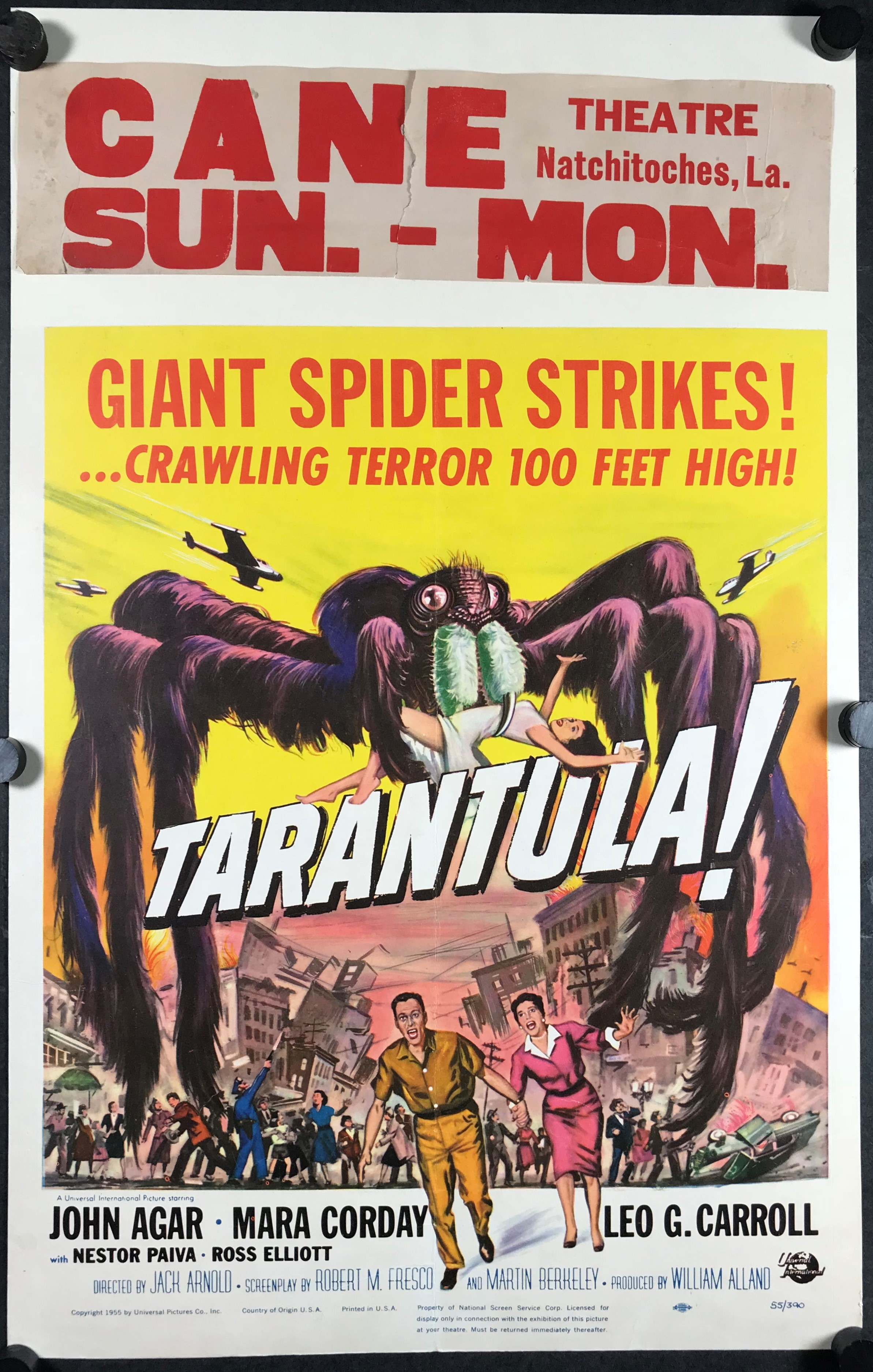 Film Tarantula Giant Spider Horror Arachnophobia Sci Fi Framed Art Print 12x16" 